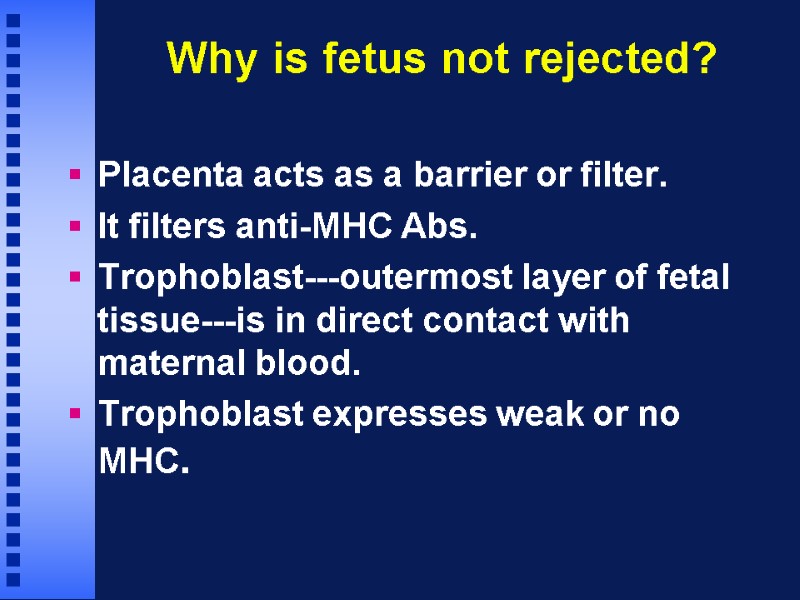 Why is fetus not rejected? Placenta acts as a barrier or filter. It filters